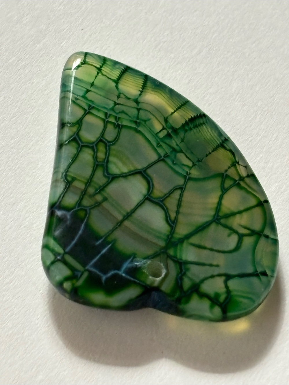 Close Up Vein Stem Leaf Phototropism Color Rock - Picture 10 of 16